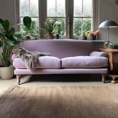 a living room filled with furniture and potted plants