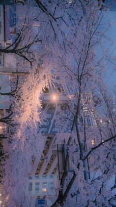 the trees are covered in snow and light shines brightly on the building's windows