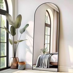 a large mirror sitting on top of a floor next to a plant