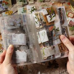 two hands holding an open book filled with cards