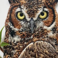 an owl with yellow eyes sitting on top of a tree branch next to a plant