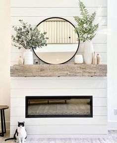 two cats sitting on the floor in front of a fireplace with a mirror above it