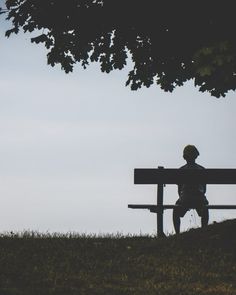 a person sitting on top of a bench under a tree