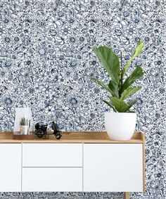 a plant sits on top of a white cabinet in front of a blue floral wallpaper