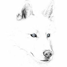 a drawing of a white dog with blue eyes