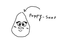 a black and white drawing of a potato with the words poppy seed written on it