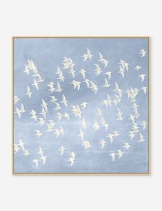 a flock of white birds flying in the sky with blue skies behind them, framed art print