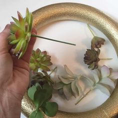 a person is holding some plants in front of a gold ring on a white table