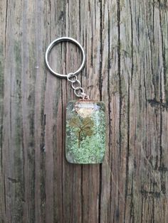 a glass keychain hanging from a wooden door with moss growing in the jar