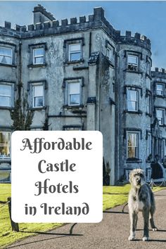 a dog standing in front of a castle with the words, adorable castle hotels in ireland