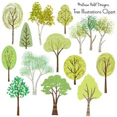 trees that are drawn in different colors and sizes, with the words tree illustrations clipart on