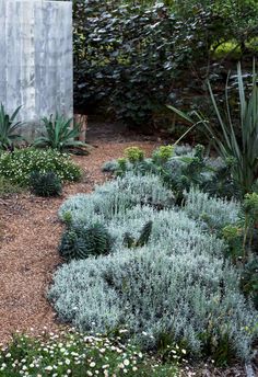 a garden with various plants and flowers in the ground next to a wall that has a concrete structure behind it