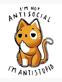 an orange cat with the words i'm not social, i'm antistump