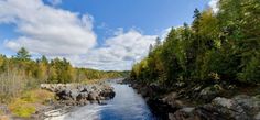 a river running through a forest filled with lots of rocks and trees in the background