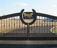 an iron gate with two horses on it's sides and a road in the background