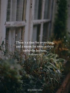 an image with the quote there is a time for everything and a season for every activity under the leaves