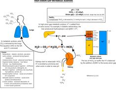 the diagram shows how hydrogens are connected to each other and what they can do