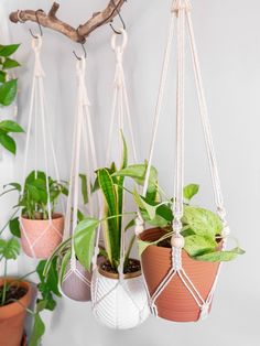 three hanging planters with plants in them