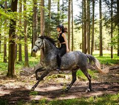 a woman riding on the back of a gray horse through a forest filled with trees