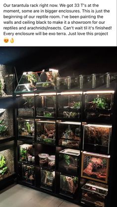 a room filled with lots of different types of plants and animals in glass containers on the wall