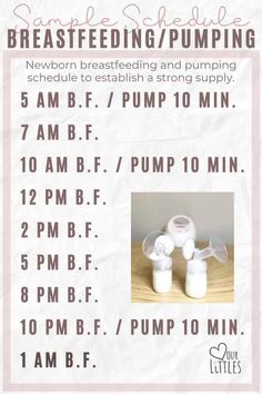 a poster with instructions for breastfeeding and pumping schedules on the front page