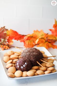 a white plate topped with cookies and nuts on top of a leaf covered table next to autumn leaves