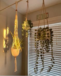 three hanging planters with plants in them on the wall next to a window sill