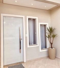 a potted plant sitting in front of a white door