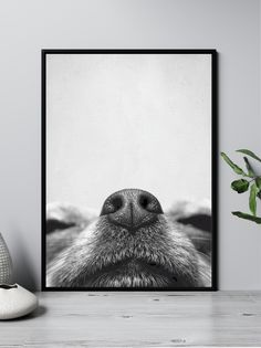 a black and white photo of a dog's nose in front of a plant