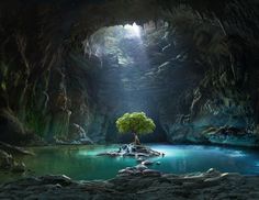 a tree is growing in the middle of a cave with blue water and green vegetation