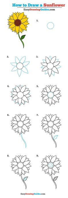 how to draw a sunflower step by step instructions for children and beginners with pictures