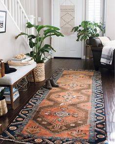 a living room filled with furniture and plants