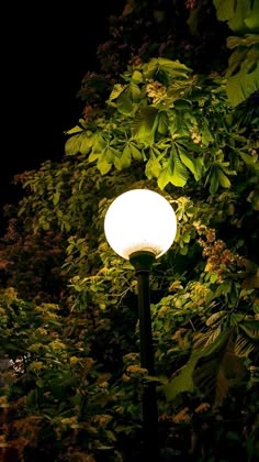 a street light is lit up in the dark with green leaves on it's sides