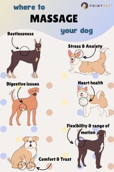 a poster showing the different types of dogs that are available for use in massages