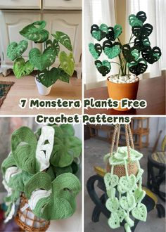 crochet patterns for houseplants and potted plants