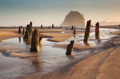 the beach is covered in water and old wooden posts are sticking out of the sand