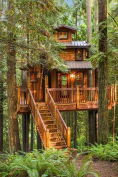 a tree house in the woods with stairs leading up to it