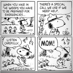 a comic strip with peanuts saying,'when you like in the woods you have to be prepared for emergency '