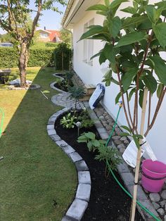 a small garden is shown in front of a house