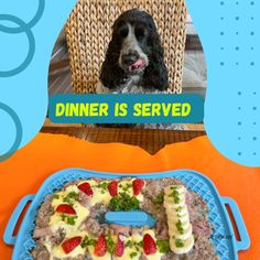 a dog sitting in a chair next to a plate with food on it and the caption dinner is served