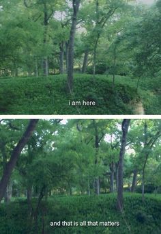 two different views of trees and bushes in the same area, one with words that read i am here