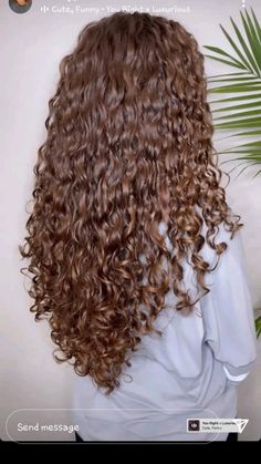 Aesthetic Curls, Curly Hair Cut, Curly Brunette, Big Curly Hair, Hair Color Auburn, Hair Appointment, Long Brown Hair, Hair Up Styles