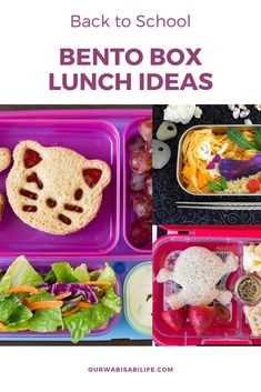 the back to school bento box lunch ideas