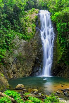 a waterfall in the middle of a forest with rocks and trees around it stock photos