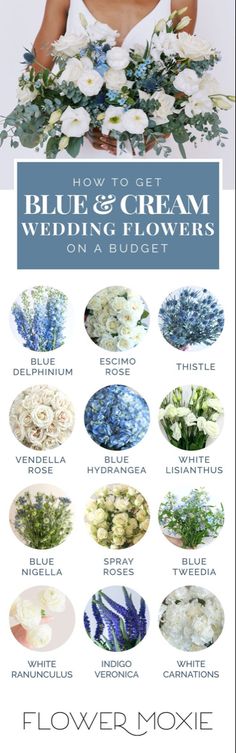 a poster with flowers and the words how to get blue and cream wedding flowers on it