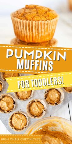 pumpkin muffins for toddlers with text overlay