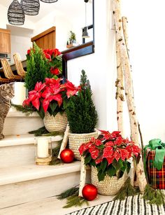 christmas decorations on the stairs with poinsettias and greenery in baskets next to them