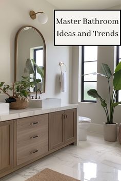 a bathroom with a large mirror above the sink and two plants in front of it