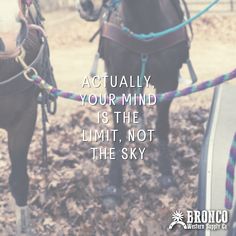 two horses tied up to each other with the caption actually your mind is the limit, not the sky