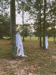 two white cloths are hanging from trees in the woods as if they were ghostly